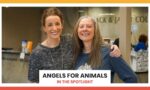 Angels for Animals