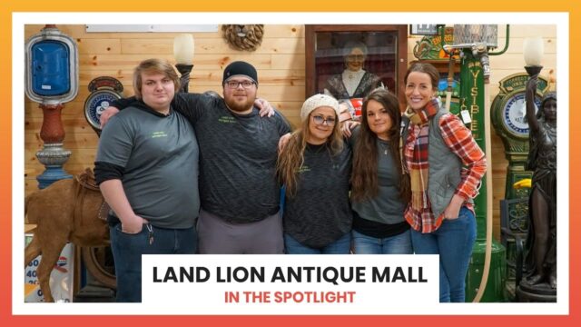 Land Lion Antique Mall - Lake Milton, Ohio