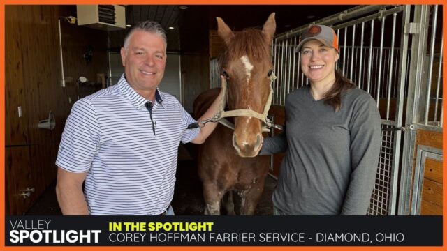 Corey Hoffman - AFA Certified Farrier