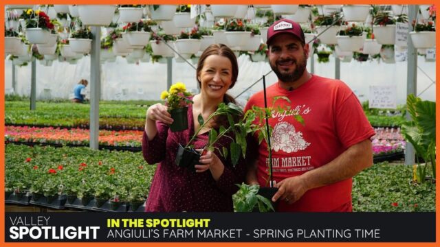 Spring Planting Time at Angiuli