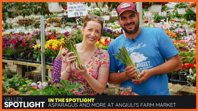 Asparagus, Strawberries and More at Angiuli