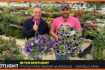 Start Spring Planting at Angiuli